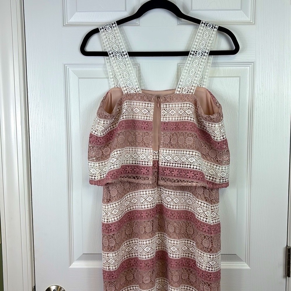 NWT Shoshanna lace Dunham dress blush pink sz 4 - Picture 9 of 11